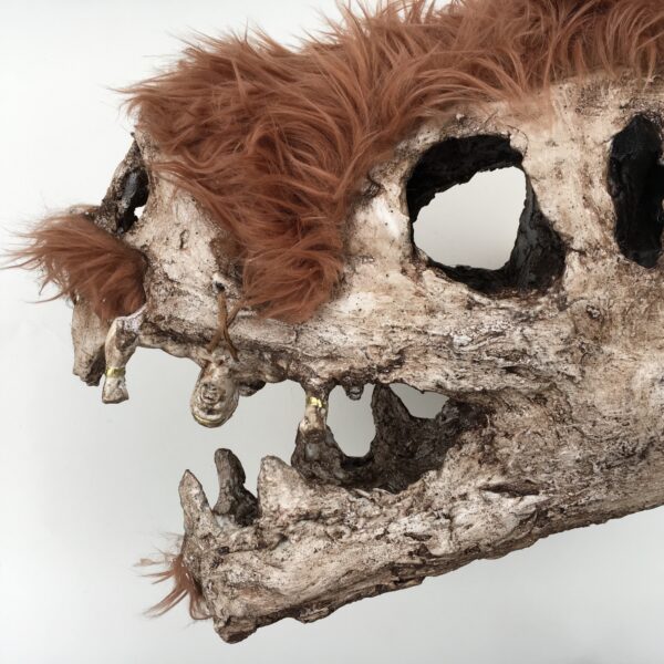 Woolly T-Rex Skull