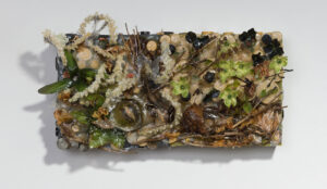 Metamorphic Garden